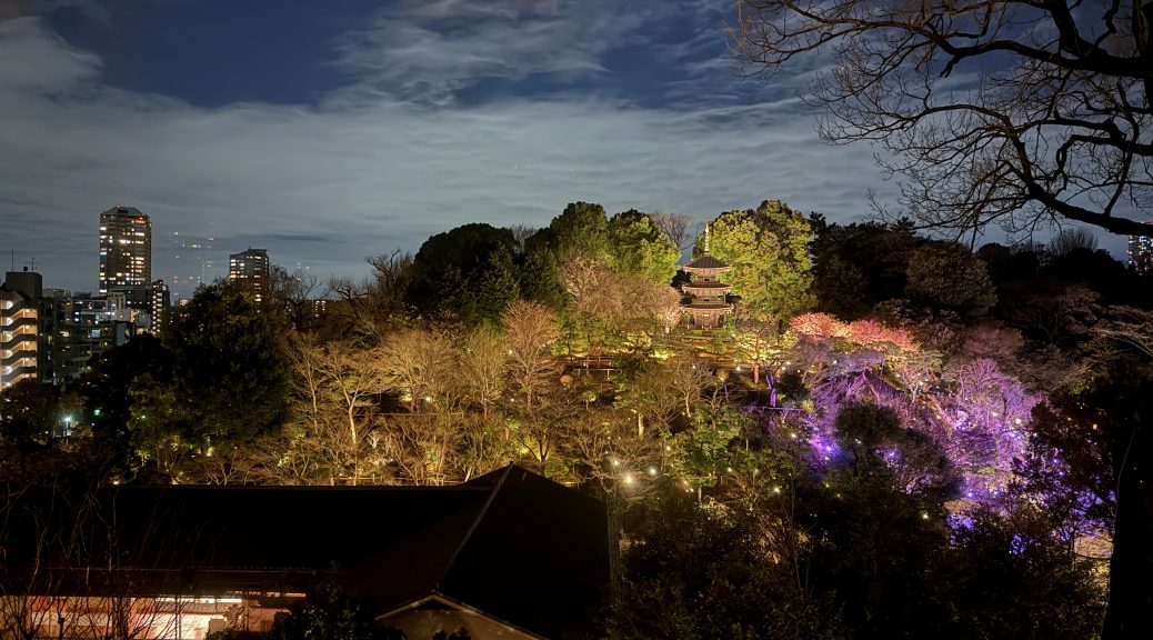 "Night view of the illuminated gardens at the Shinzanso Hotel in Tokyo, showcasing vibrant trees, colorful lights, and a traditional pagoda surrounded by lush greenery."